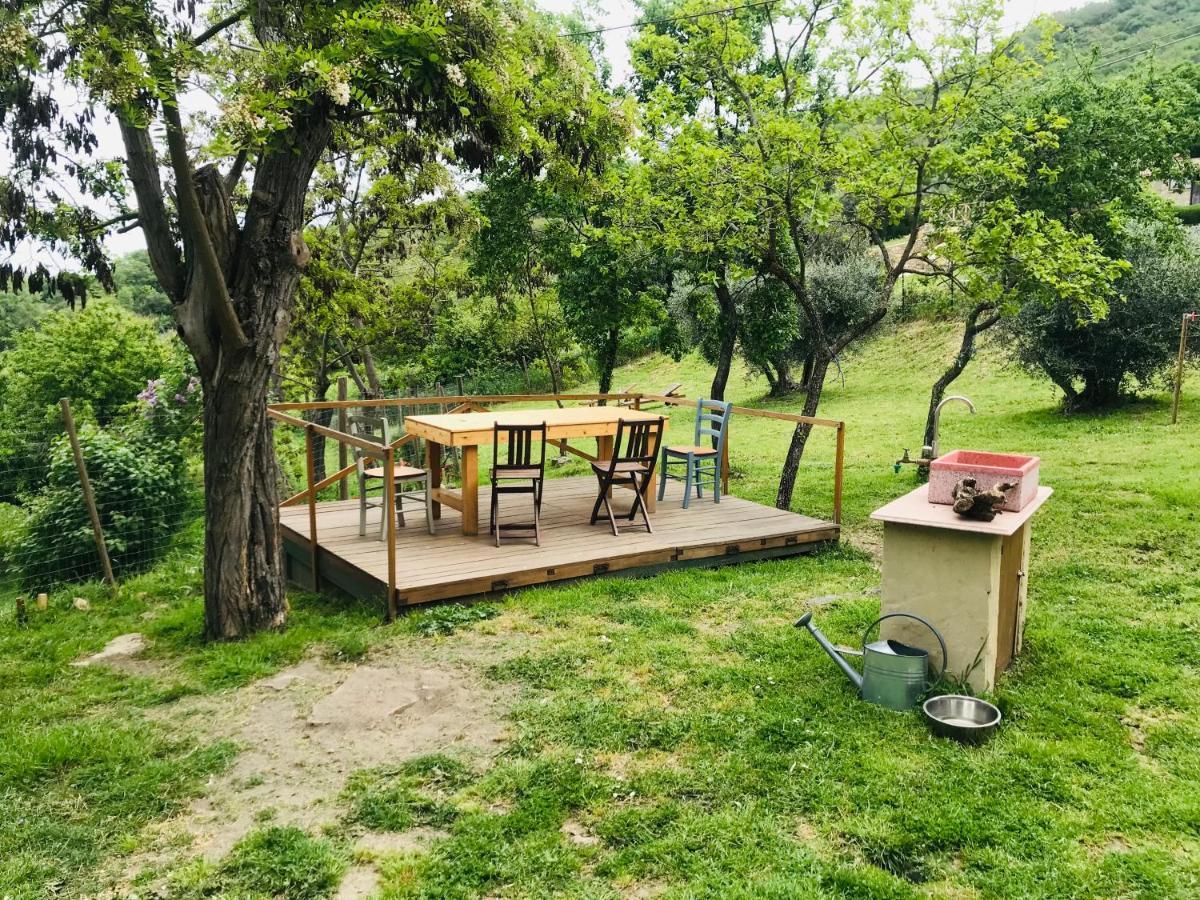 B&B Giuncaia17 Polveraia Экстерьер фото